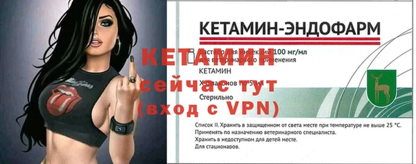 ECSTASY Богданович