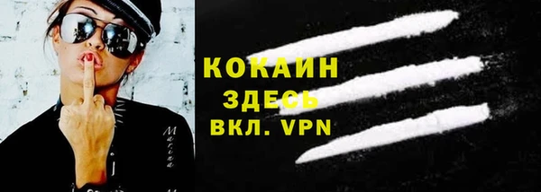 ECSTASY Богданович