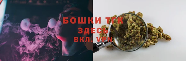 ECSTASY Богданович