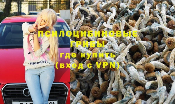 таблы Бородино