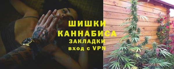 ECSTASY Богданович