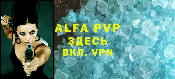 ECSTASY Богданович