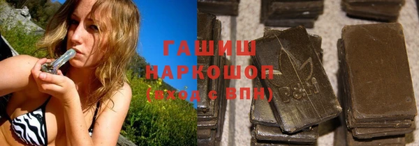 ECSTASY Богданович