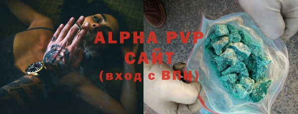 ECSTASY Богданович