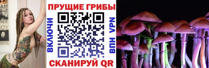 Галлюциногенные грибы Magic Shrooms  закладки  Буйнакск 