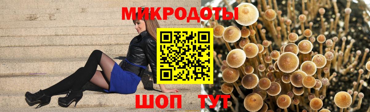 Псилоцибиновые грибы Cubensis  Вход с VPN  закладка  Буйнакск 