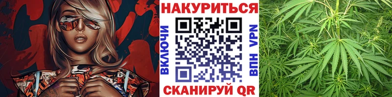 Бошки Шишки семена  MEGA рабочий сайт  это официальный сайт  Буйнакск 