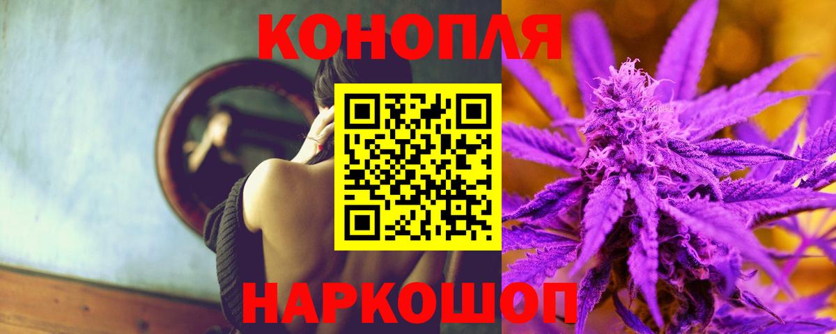 Бошки Шишки сатива Буйнакск